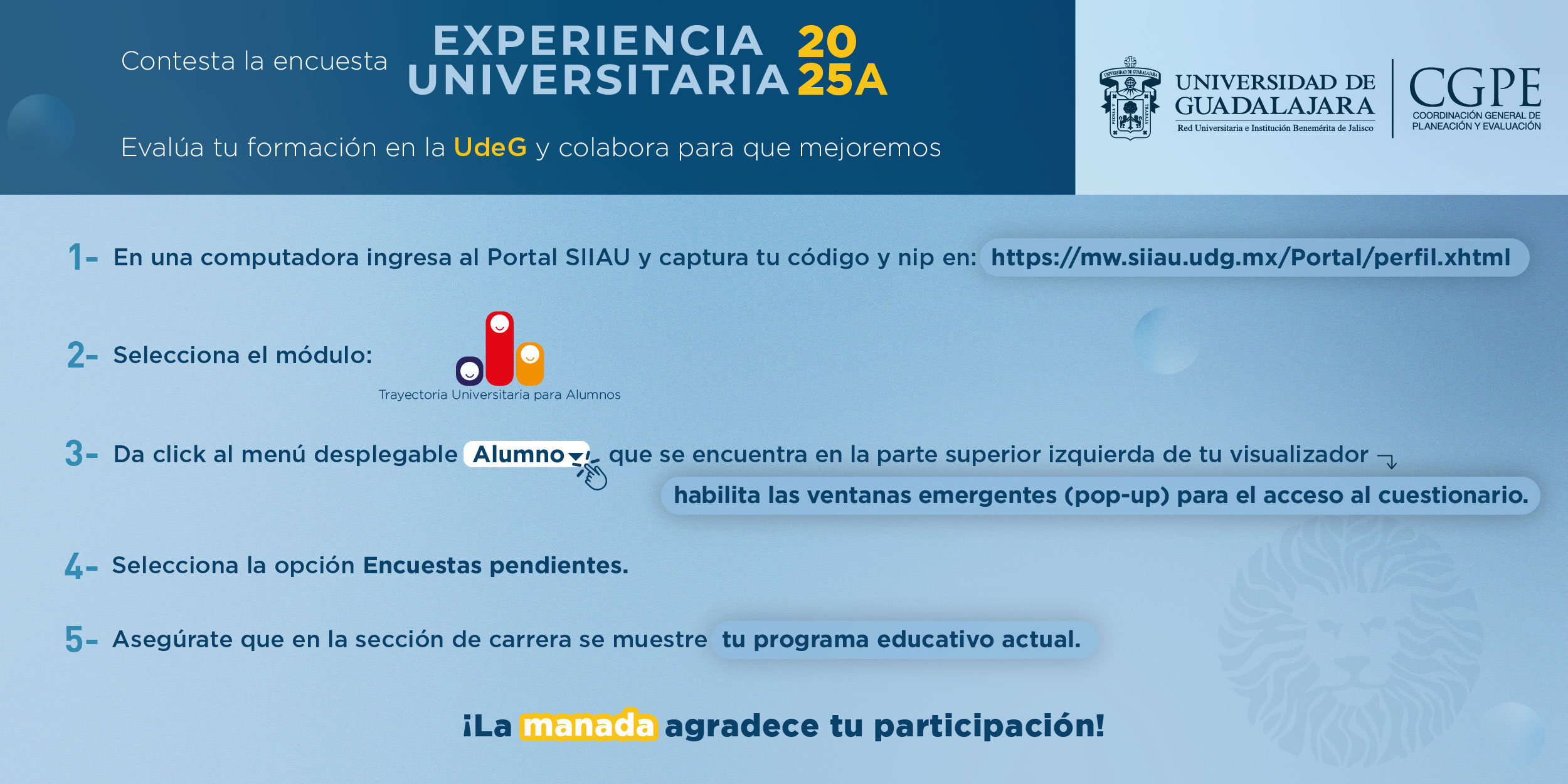 instructivo
